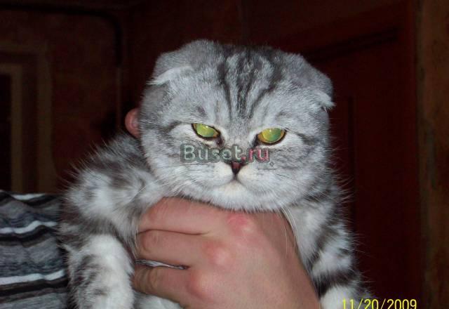 Для души и разведения Челябинск