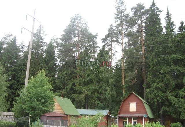 Дача возле Ногинска  12 соток Москва