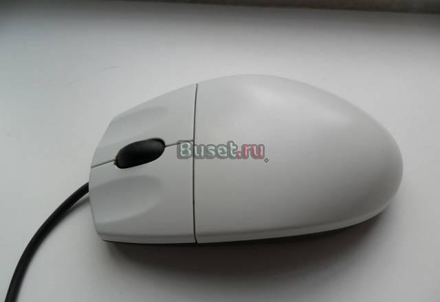 Мышки Москва