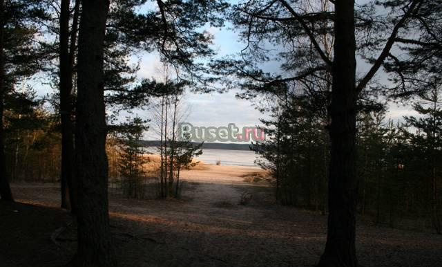 Отдых без смога Санкт-Петербург