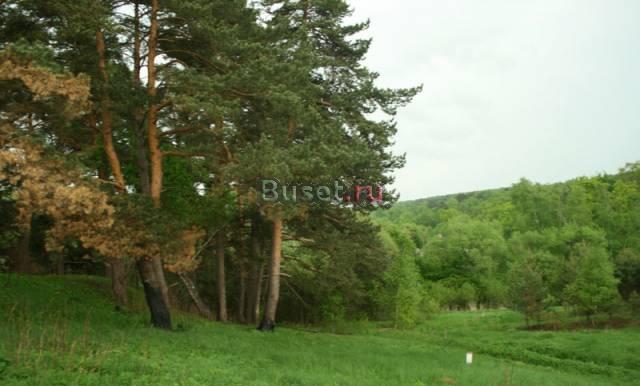 Участок  85км.МКАД  вокруг лес,река с запрудой Москва