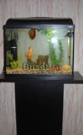 Новый аквариум aquael 32л Москва
