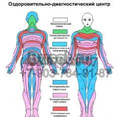Диагностика организма и профилактика заболеваний Москва