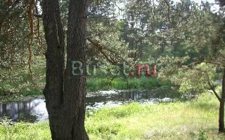 Плечево 20 Га Ярославль