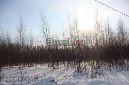 Участки 12 соток в  поселке “Петровская охота“ Москва