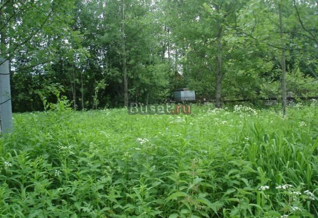 Участок 6 соток в СНТ(фактически 9),65км от МКАД Киржач