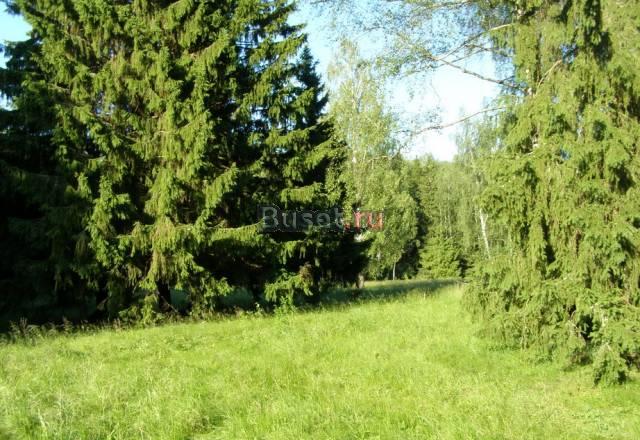 Участки у д.Талеж, Чеховский р,лес,Святой Источник Москва