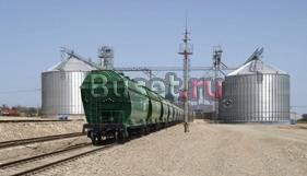 Закупаем пшеницу 4 и 5 кл и ячмень Старомарьевка
