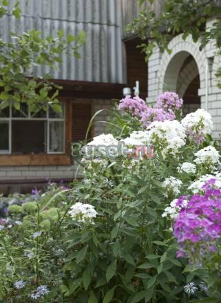 Дача с собственным берегом на реке, 6км от города Саратов