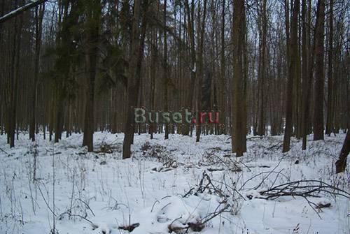 П.Заокский уч-к 12соток, по границе свет, газ Москва