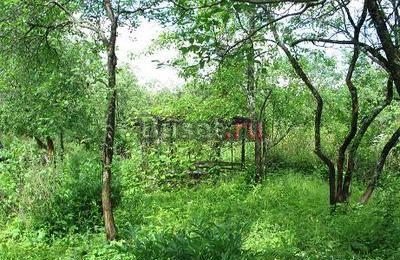 Продам садовый участок 6 соток Симферопольское шос Москва