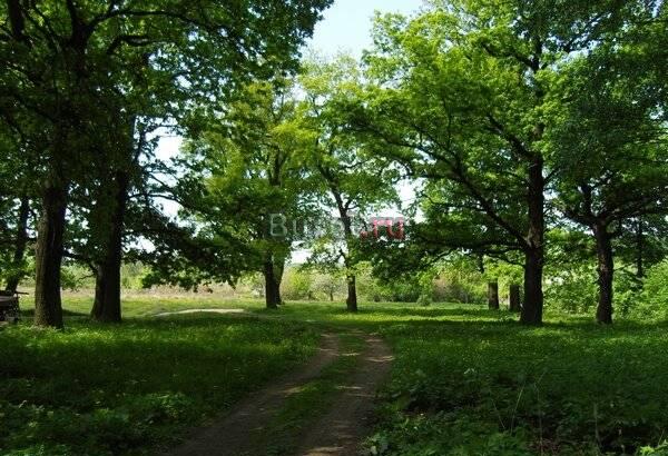 7 соток в деревне за 290 тыс Москва