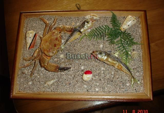 Картина Дары моря Москва