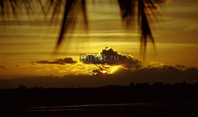 Куплю PSP ,Xbox 360, Sony PlayStation3 Москва