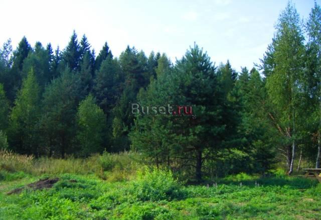 Участок 12 (можно 6+6) соток крайний к лесу Киржач