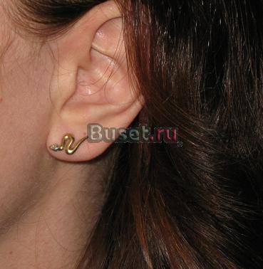 Золотые змейки с бриллиантиком, Германия Казань