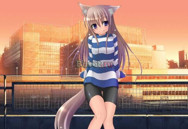 Ковёр-палас бельгийский 3.4 х 2.4 метра+телевизор Москва