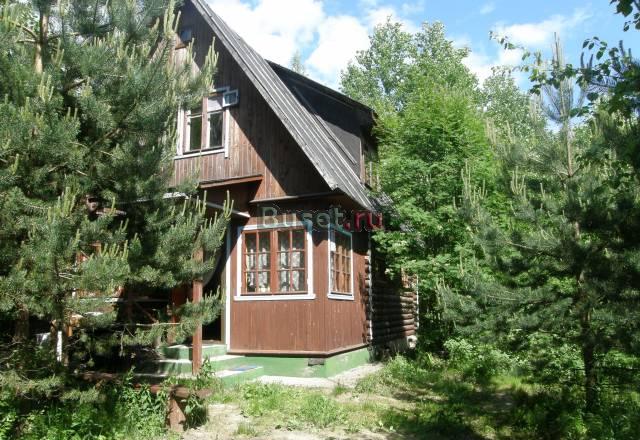 Сдается дача у финского залива на сентябрь Санкт-Петербург