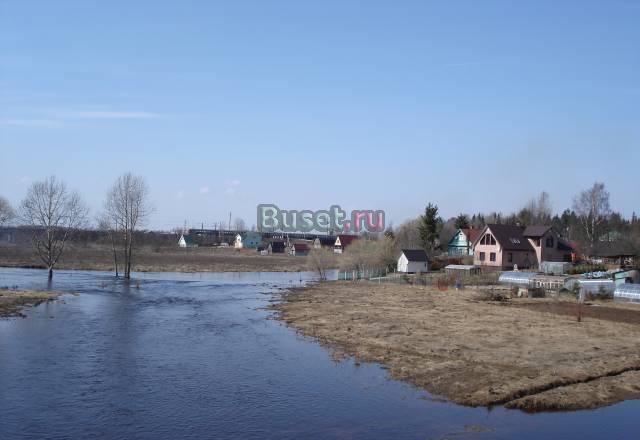 Участок 11сот (ижс) в Красницах Санкт-Петербург