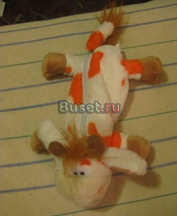 Пенал Санкт-Петербург