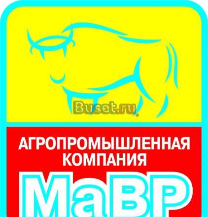Продам мясокостную муку собственного производства Абакан