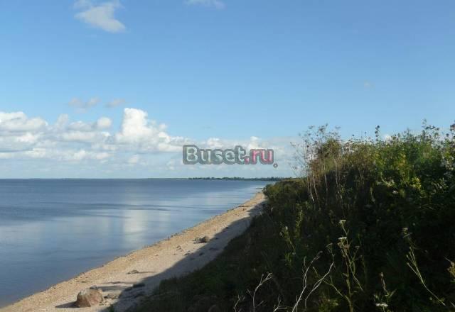 Участок на берегу озера Ильмень 270 км от спб Гатчина