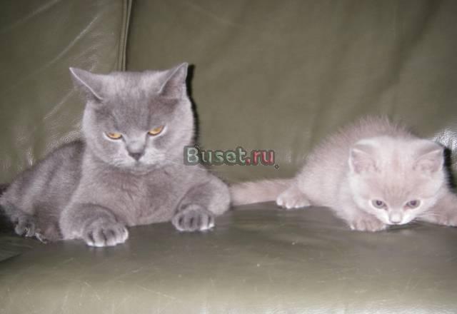 Отличный подарок детям к 1 сентября Санкт-Петербург