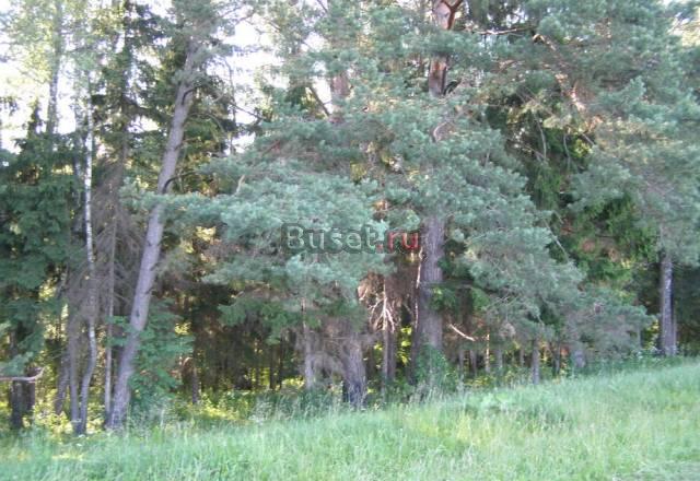 Продаю участки под ижс в Чеховском Чехов