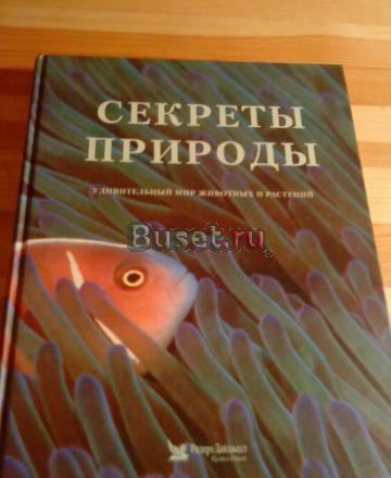 Книга Москва