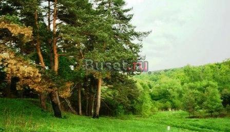 Участок от 6 соток от 20 тыс рублей за сотку Москва