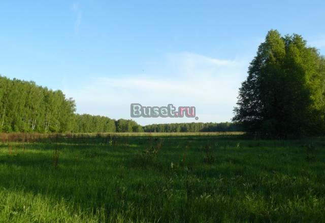 СНТ Продаются участки 30 сот Заокский