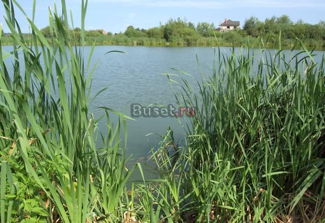 Ново-рижское ш. 24 км, кп "Русская деревня" Истра