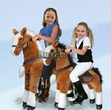 Поницикл Новокузнецк