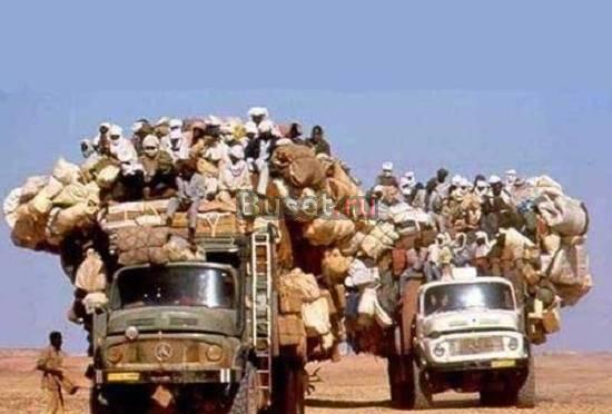 Грузоперевозки Санкт-Петербург