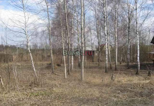 Участок по Новой Риге недорого Истра