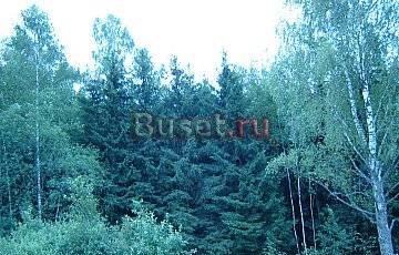 Участок в "Дубраве у озера" Москва