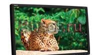 LCD 19IN NEC V191W-BK Москва
