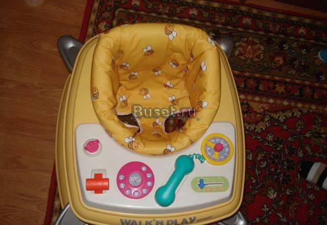 Ходунки Peg-perego Дедовск