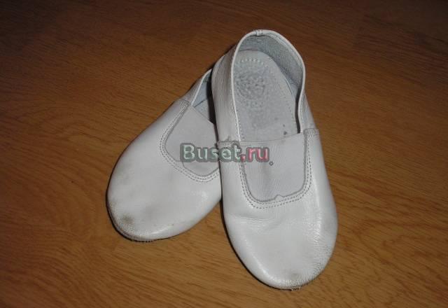 Чешки Санкт-Петербург