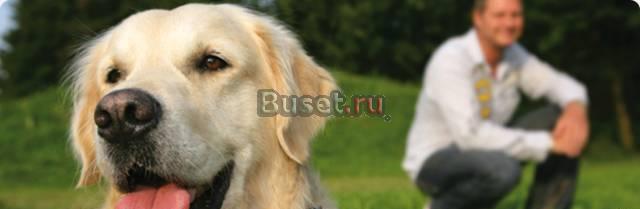 Сухой корм для собак - оптом - из Германии Санкт-Петербург