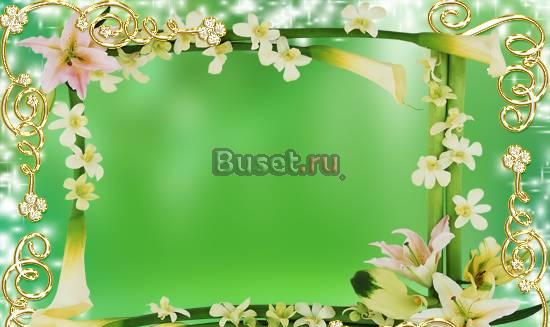 Дизайн-макет Камышин