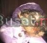 Йорк- Потрясающий мальчишка Санкт-Петербург