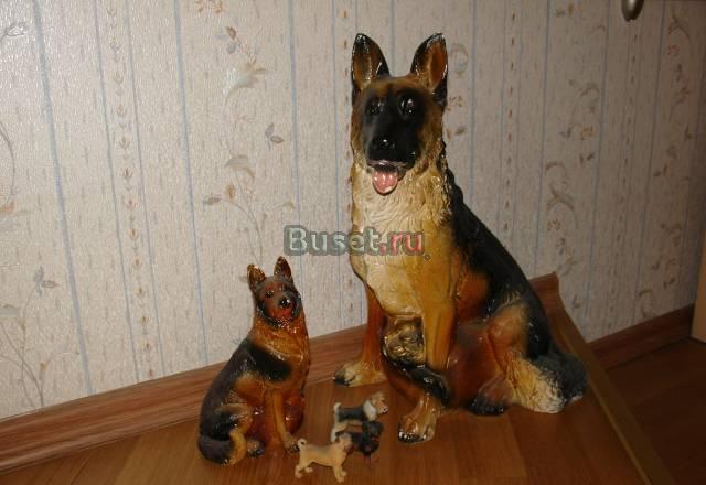 Коллекция собак Москва