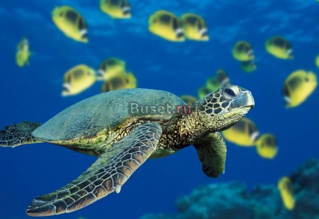 Продаю 2-х комнатную квартиру на улице политехниче Саратов