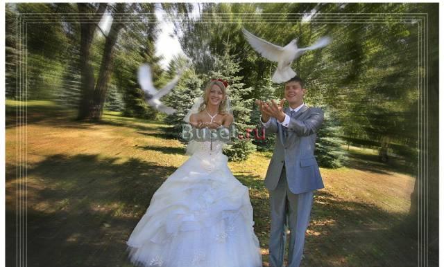 Тамада на свадьбу в Липецке и области Липецк