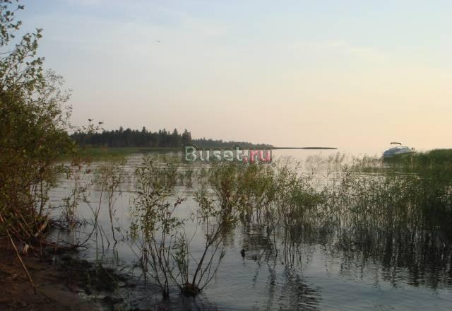 Земля под ижс в д.Сторожно прямо на берегу Ладоги Санкт-Петербург