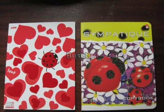 Две тетрадки Москва