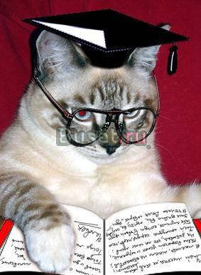 Авторские дипломные, курсовые Сибай