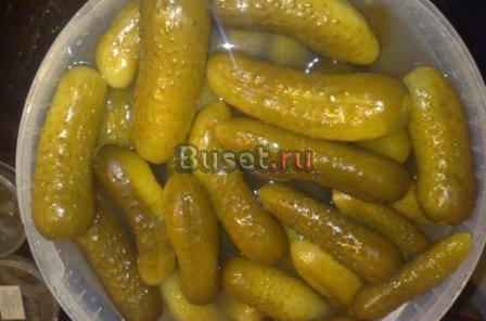 Огурцы соленые бочковые оптом Москва