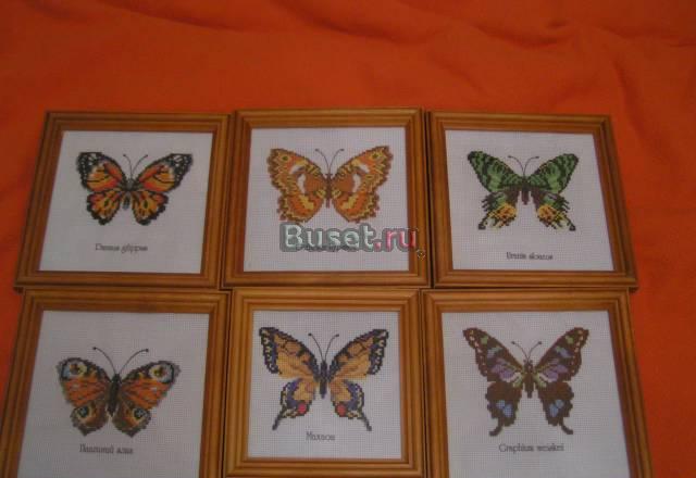 Потрясающая вышивка  крестом Бабочки Москва